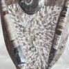 Orthoceras & Ammonite Natural Shield - Image 3