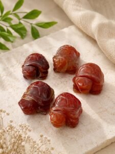 Natural Red Aventurine Turtle | Feng Shui Crystal for Confidence & Prosperity | Avisa Wellness