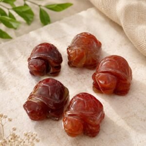 Natural Red Aventurine Turtle – Strength, Confidence & Prosperity Feng Shui Crystal